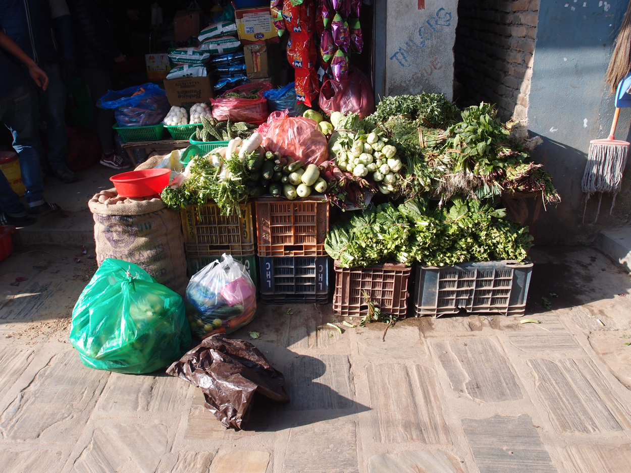 2018-01-19 10 Uhr - Boudha Walk (Foto) 